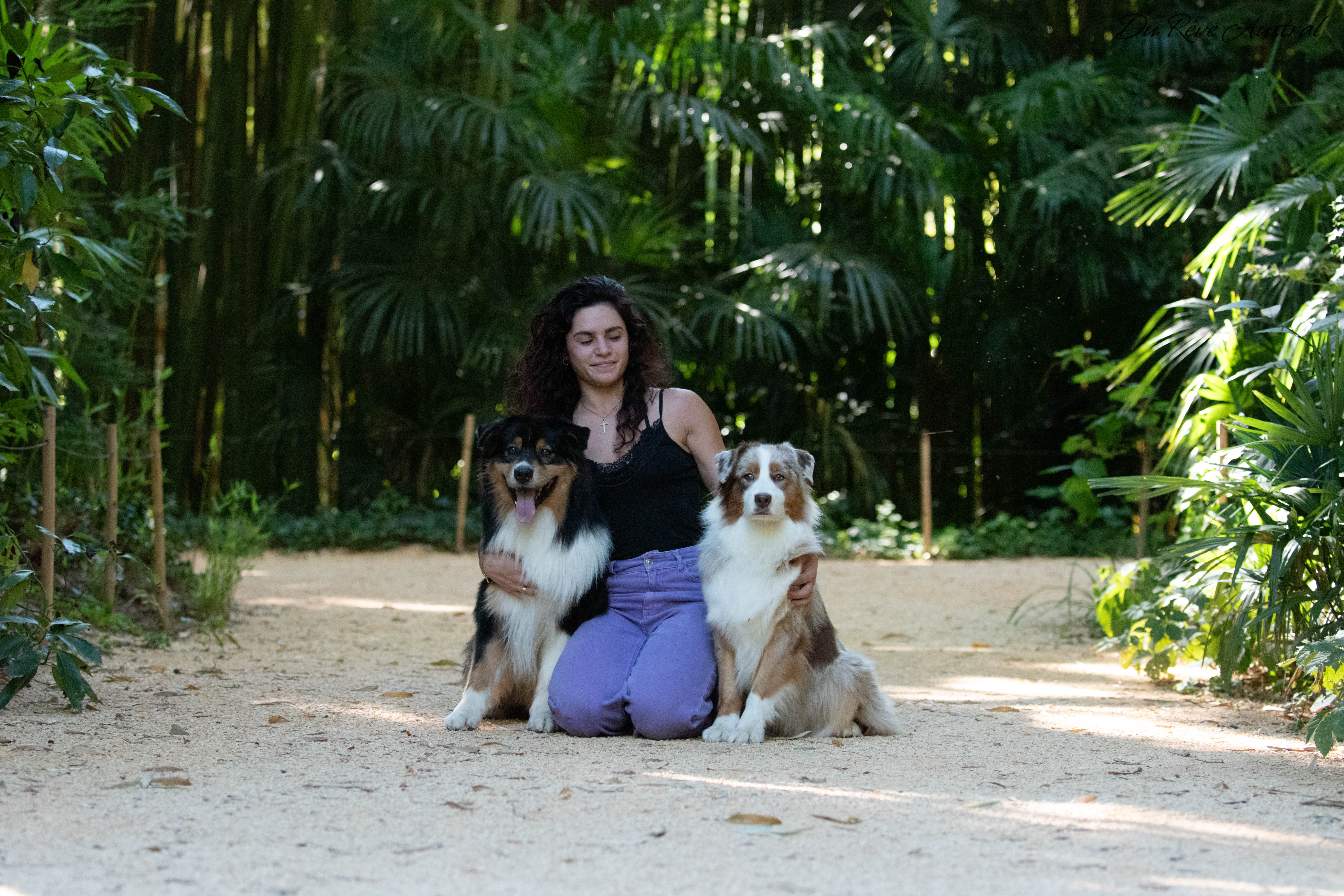 Laura avec ses bergers australiens